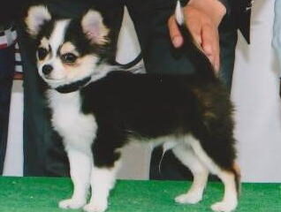 福岡県　　I 様